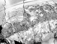 なんちゃってローストポーク