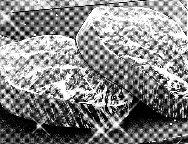 牛々苑のシャトーブリアン