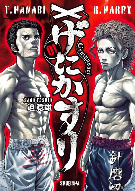 げにかすり 表紙