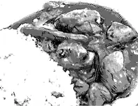 慎平のカレー​