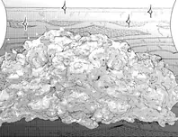 鮭のチタタㇷ゚