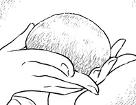 ふわふわのパン