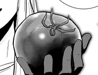 採れたてトマト