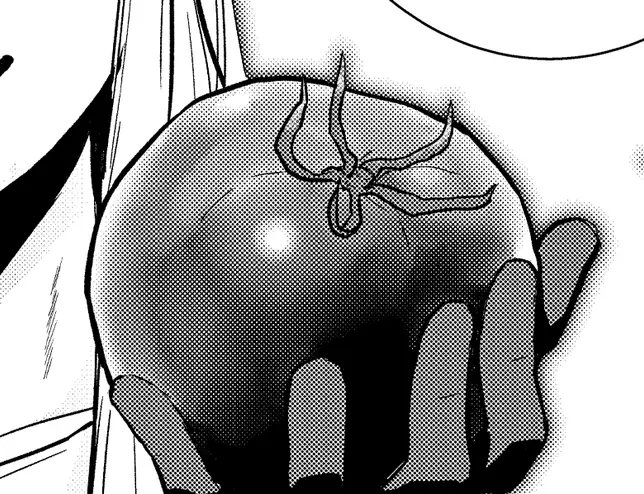 採れたてトマト